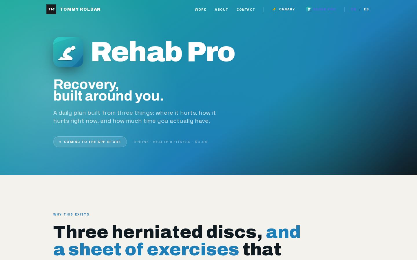 Rehab Pro — the live page at desktop width