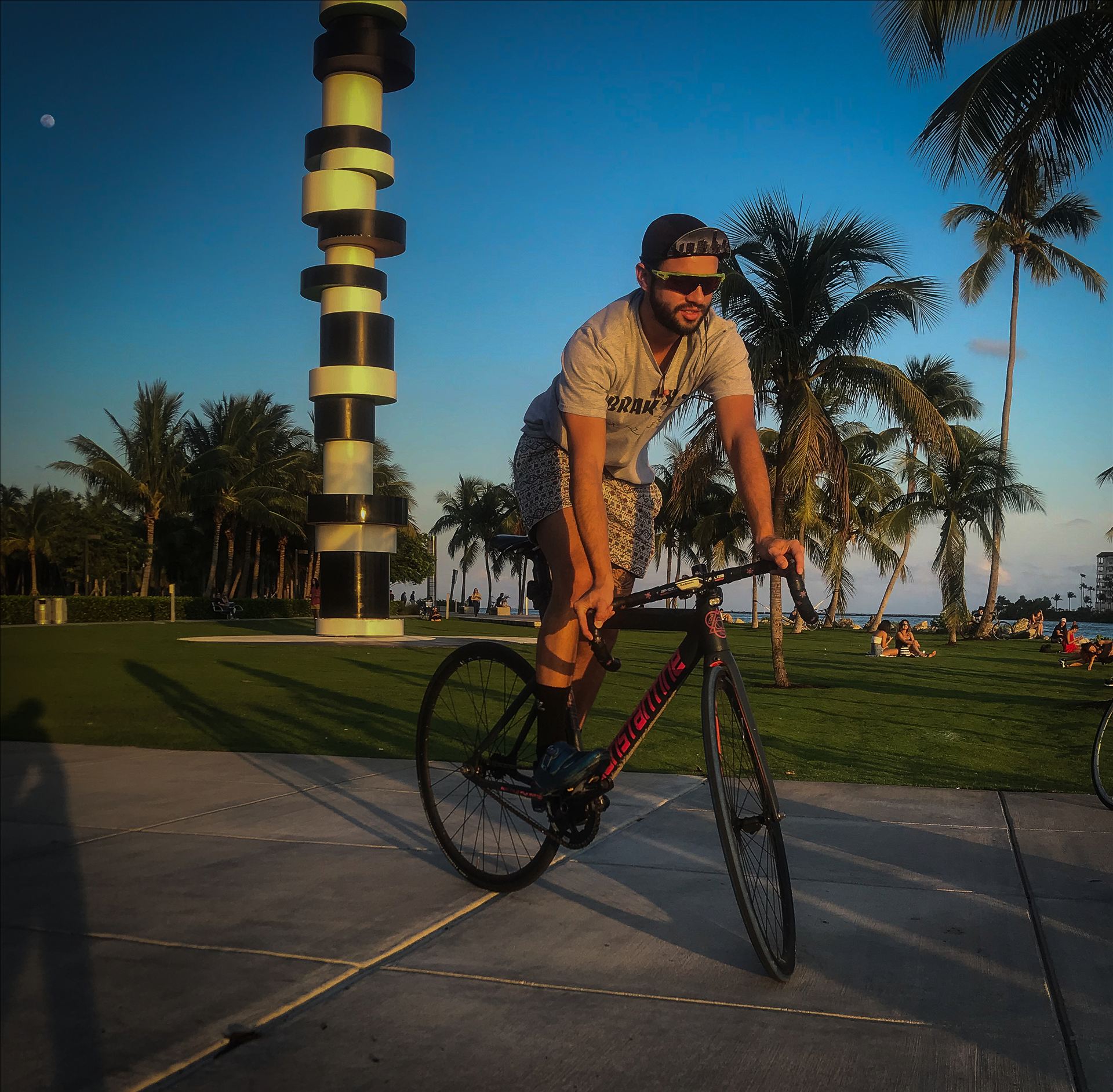 Constantine, ridden on the Miami waterfront